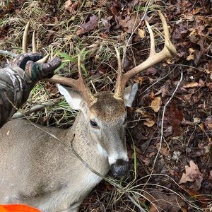 Meet your Posher, Landon